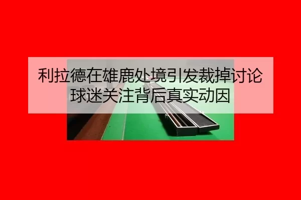 li-la-de-zai-xiong-lu-chu-jing-yin-fa-cai-diao-tao-lun-qiu-mi-guan-zhu-bei-hou-zhen-shi-dong-yin-2-121.jpg